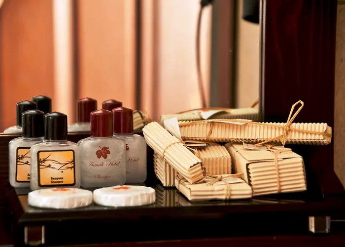 Asmali Hotel Estambul